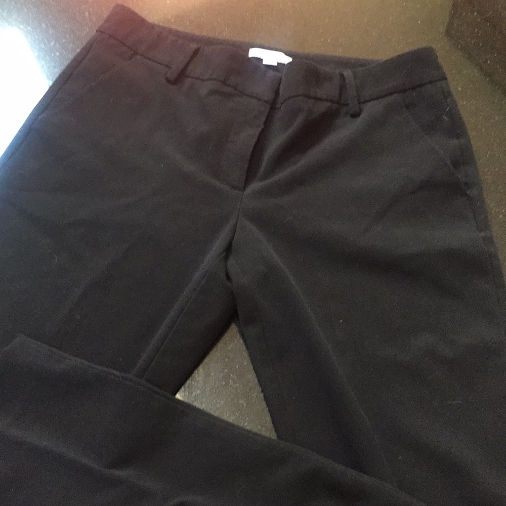 Dress pants